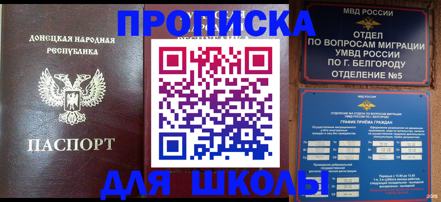 прописка для работы в Пионерском